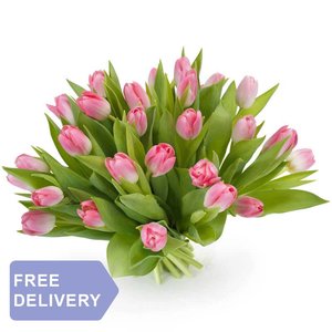25 Tulipanów Różowych